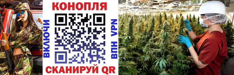 LSD-25 Мегион