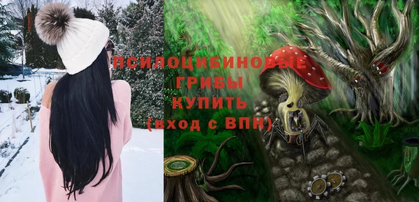 дживик Алексеевка