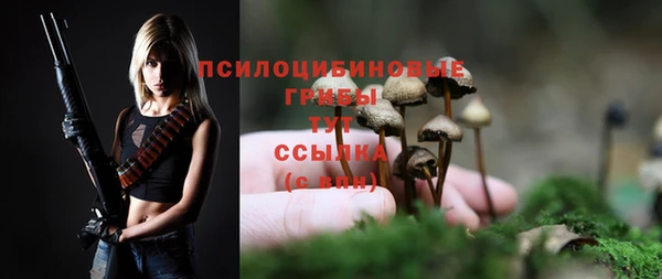 дживик Алексеевка