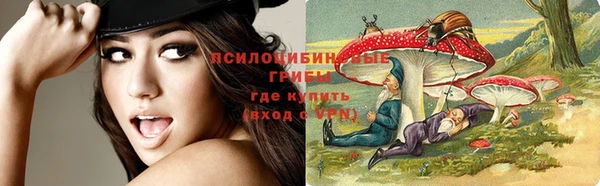 дживик Алексеевка