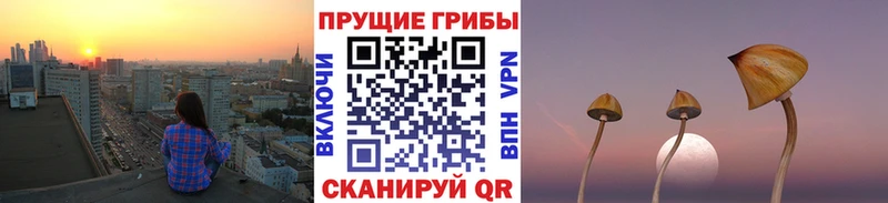 MEGA tor Мегион Псилоцибиновые грибы Psilocybe хочу наркоту