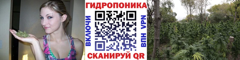Бошки Шишки сатива Мегион